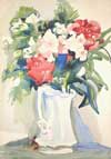 Hibiscus image